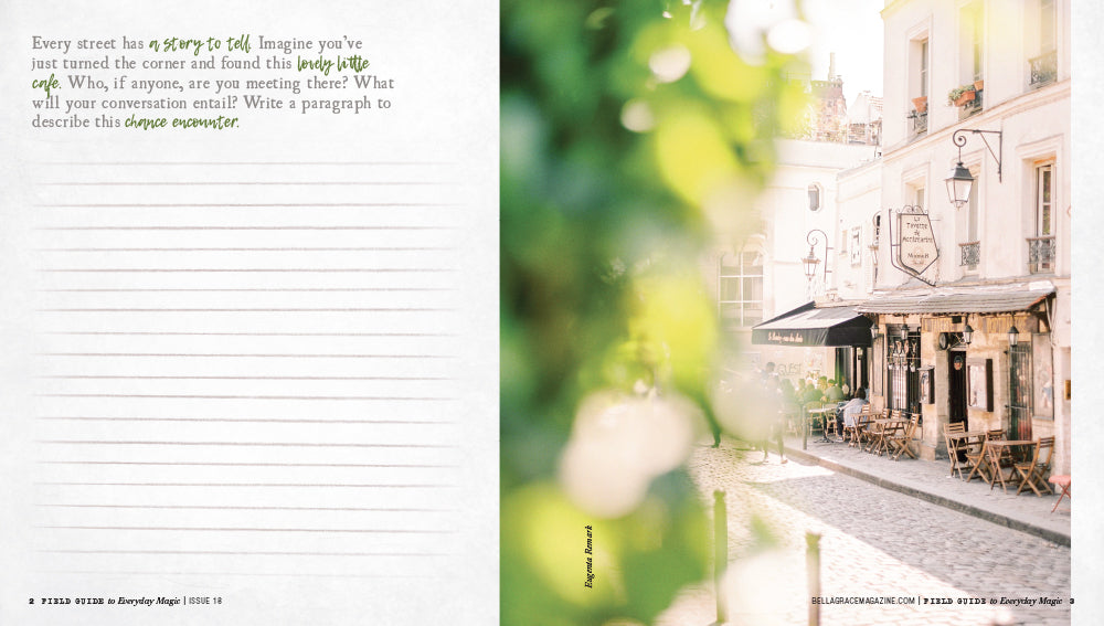 Field Guide to Everyday Magic Issue 18 Pre-Order