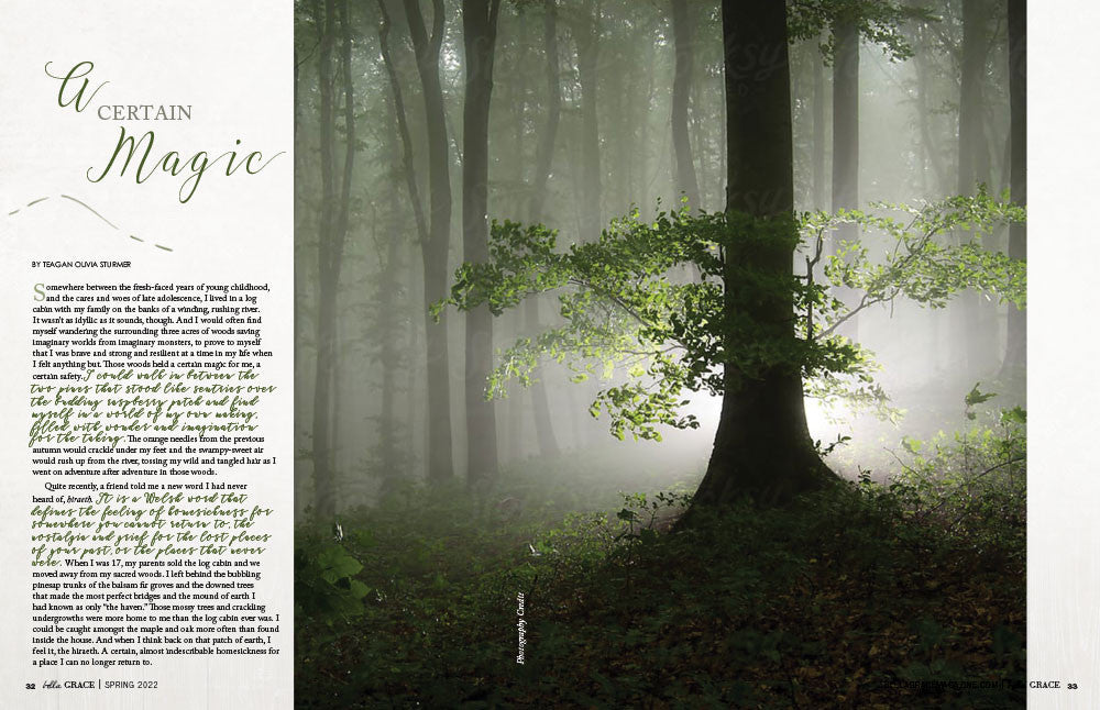 Bella Grace Issue 31 Instant Download
