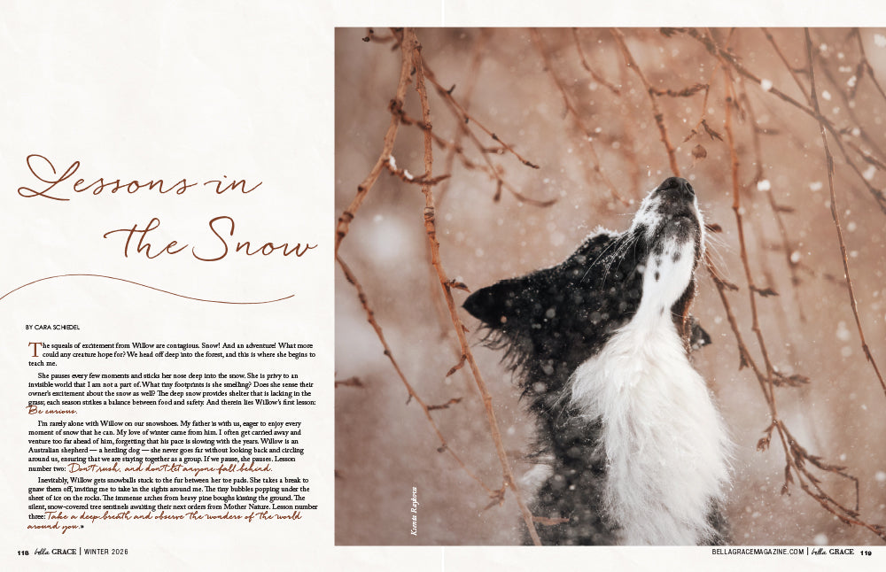 Bella Grace Issue 46