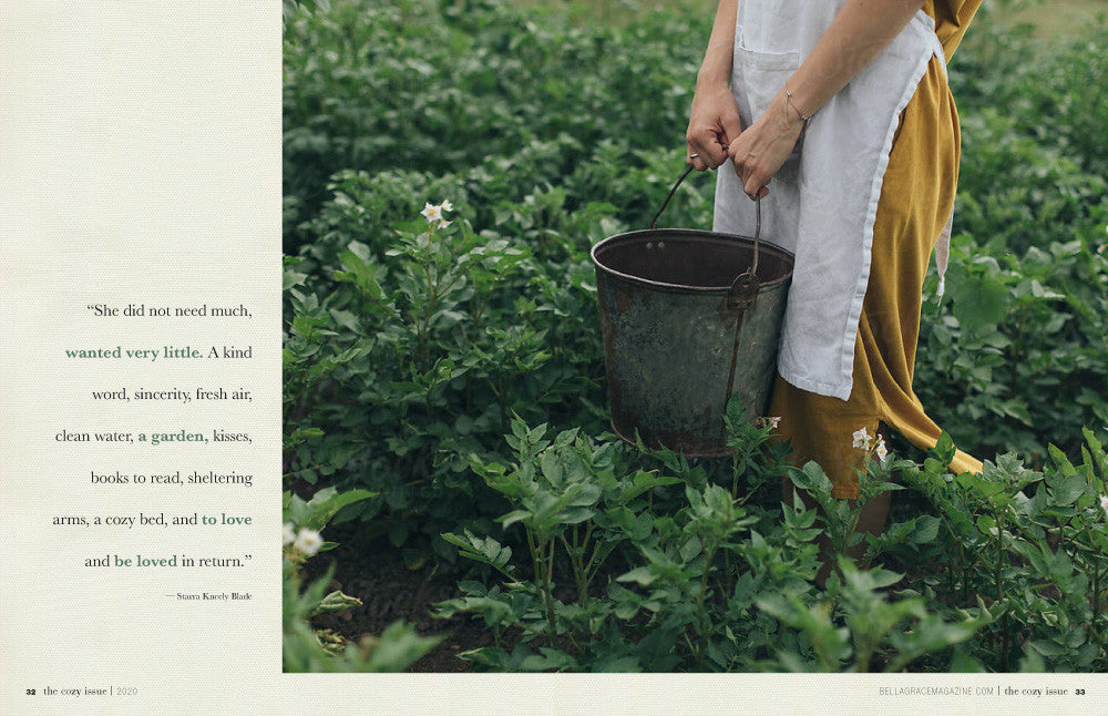 The Cozy Issue Volume 3 — Digital Only