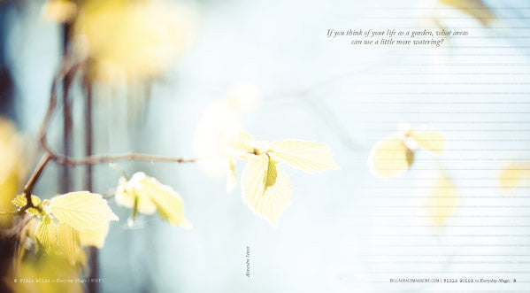 Field Guide to Everyday Magic Issue 1 — Digital Only
