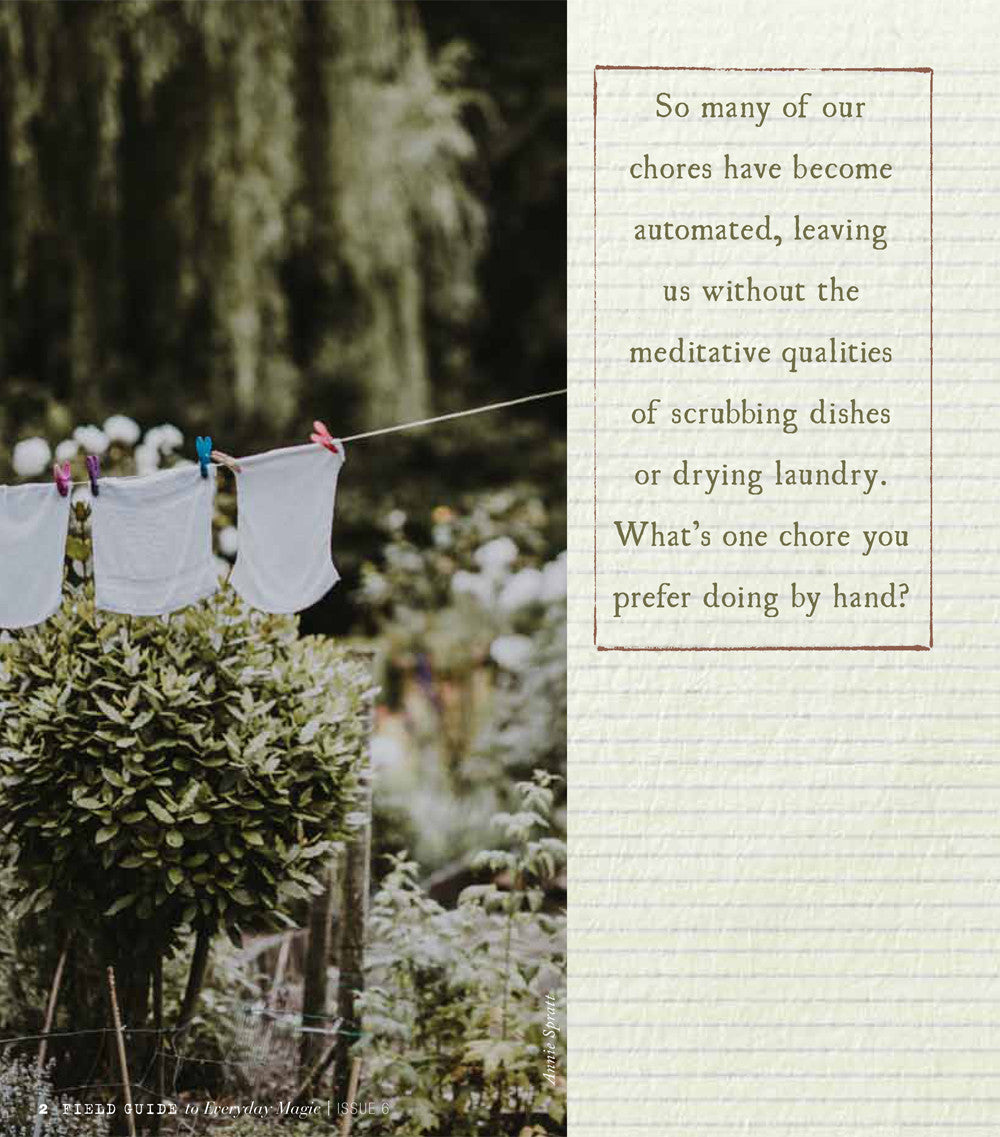 Field Guide to Everyday Magic Issue 6 Instant Download