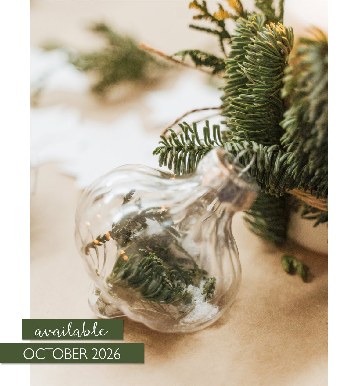 A Somerset Holiday Volume 20 Pre-Order