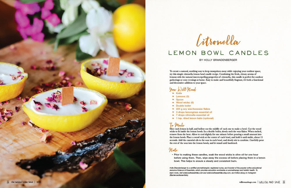 The Natural Home Issue Volume 6