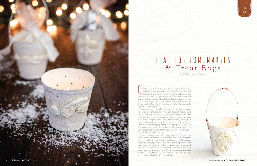 A Somerset Holiday Volume 14 — Digital Only