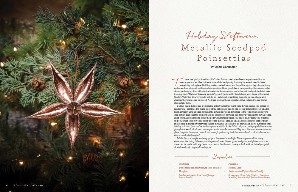A Somerset Holiday Volume 16 Instant Download