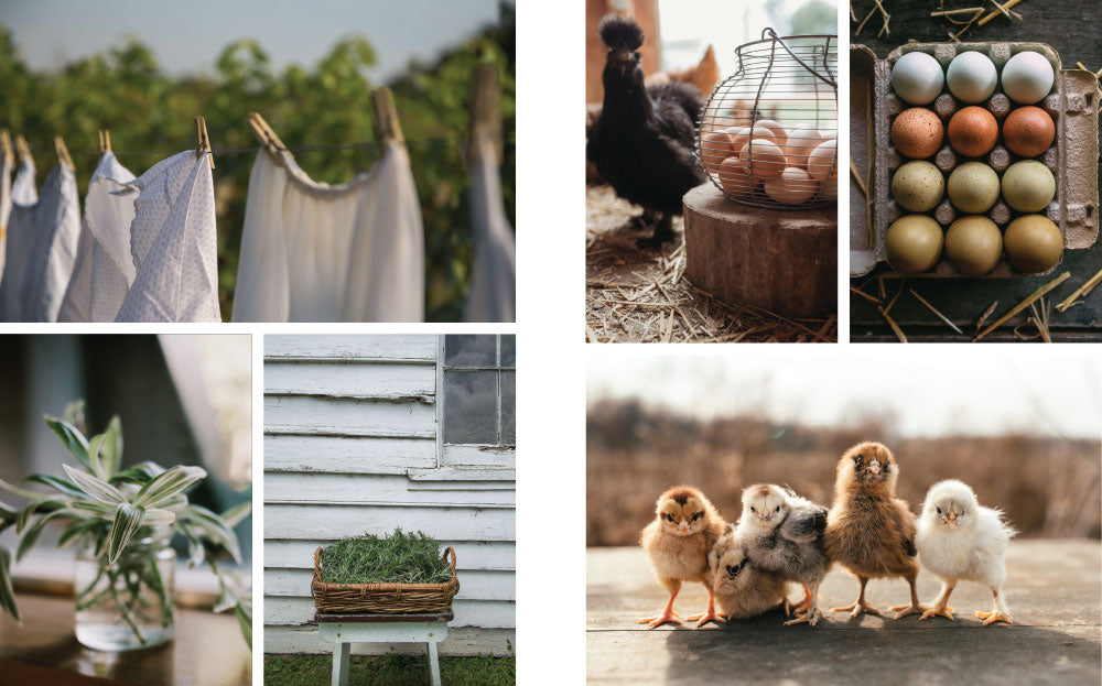 Vision Boards: A Beautiful Life Imagined Issue 1 – New