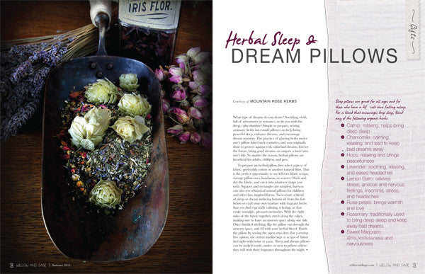 Willow and Sage Winter 2015 — Digital Only
