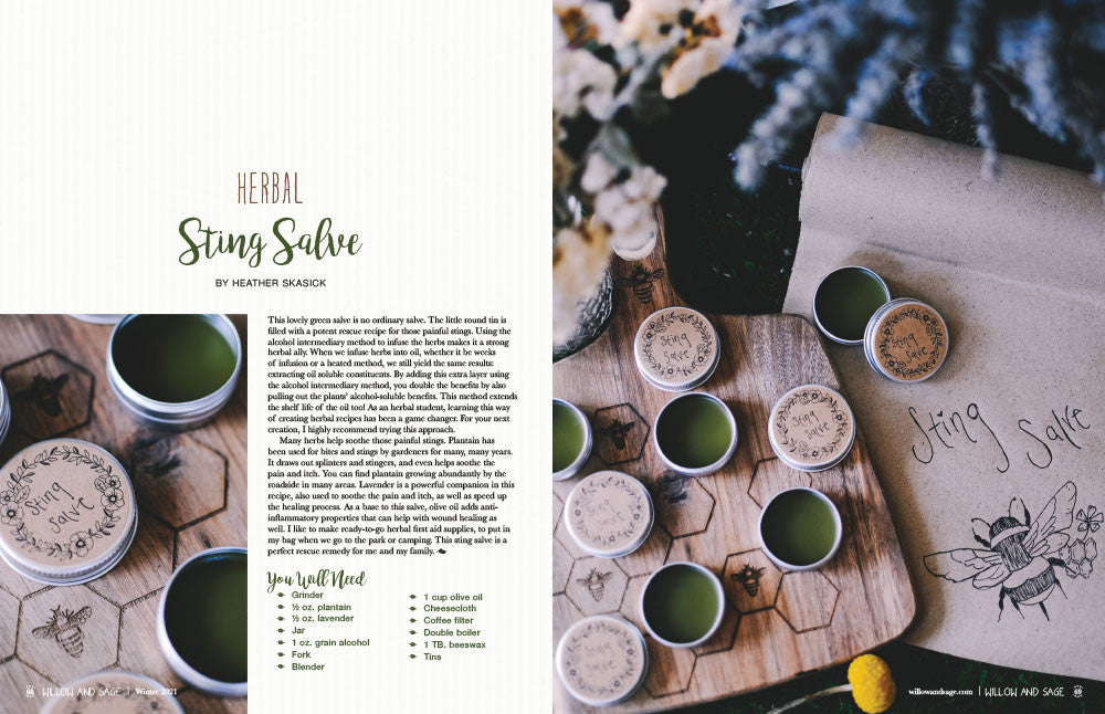 Willow and Sage Spring 2022 Instant Download
