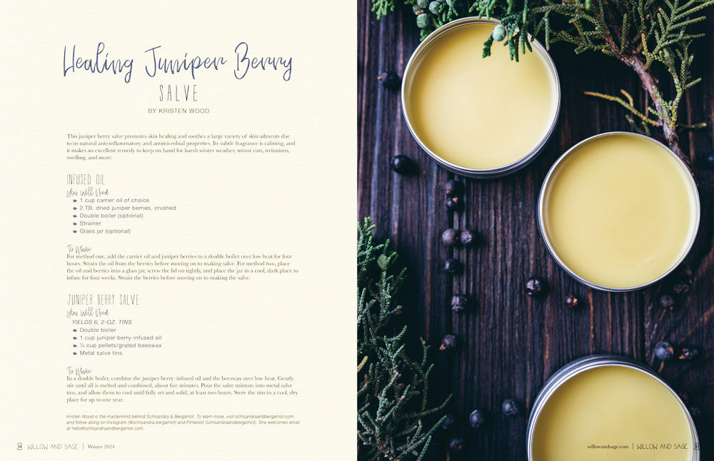 Willow and Sage Winter 2024 Instant Download