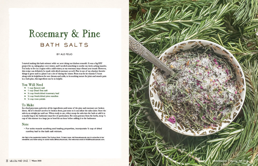 Willow and Sage Winter 2026 Instant Download