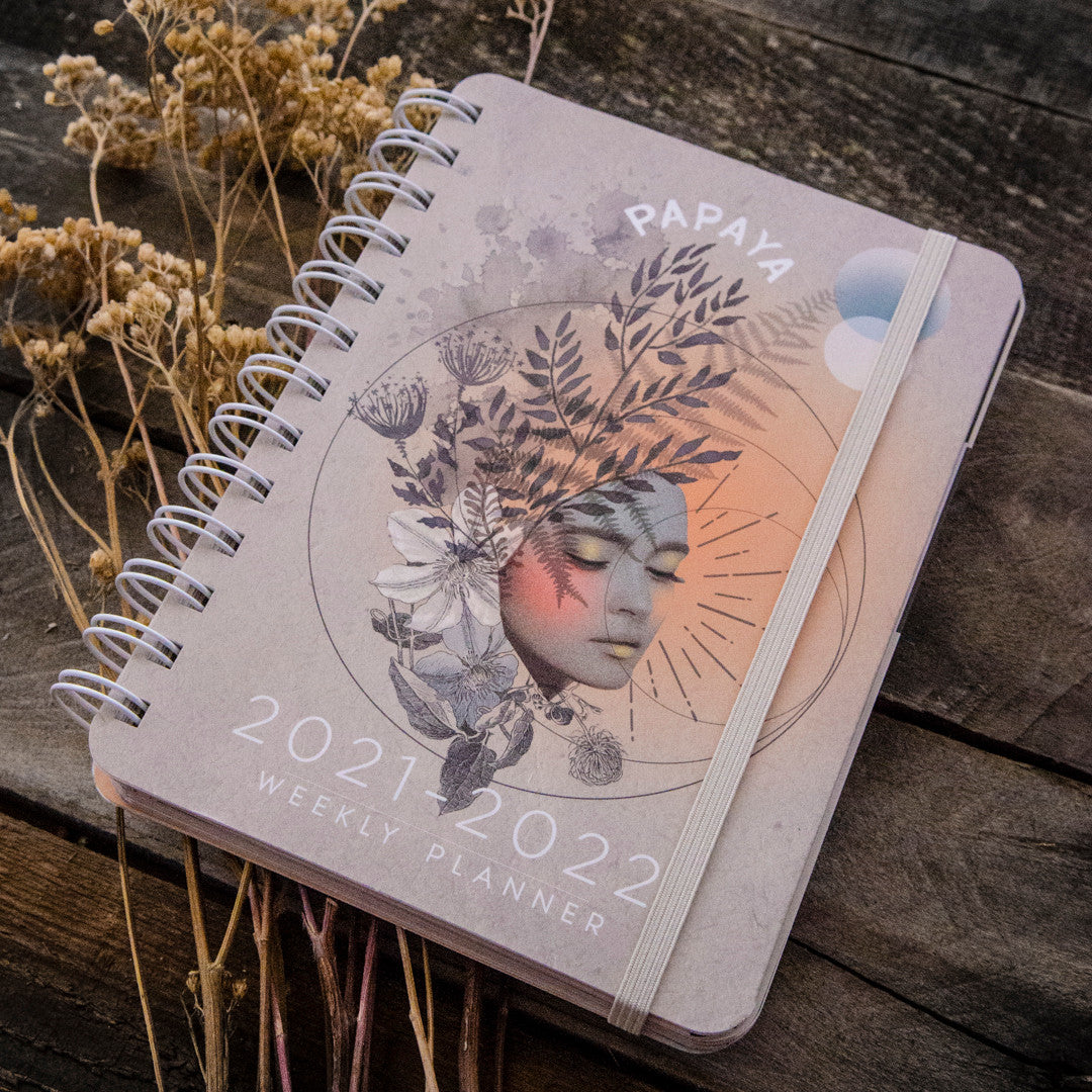Golden Hour Bella Grace Bundle