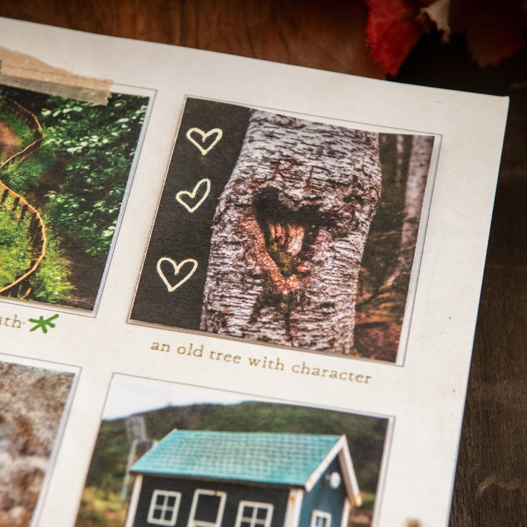 A Fall Photo Scavenger Hunt to Welcome the Season