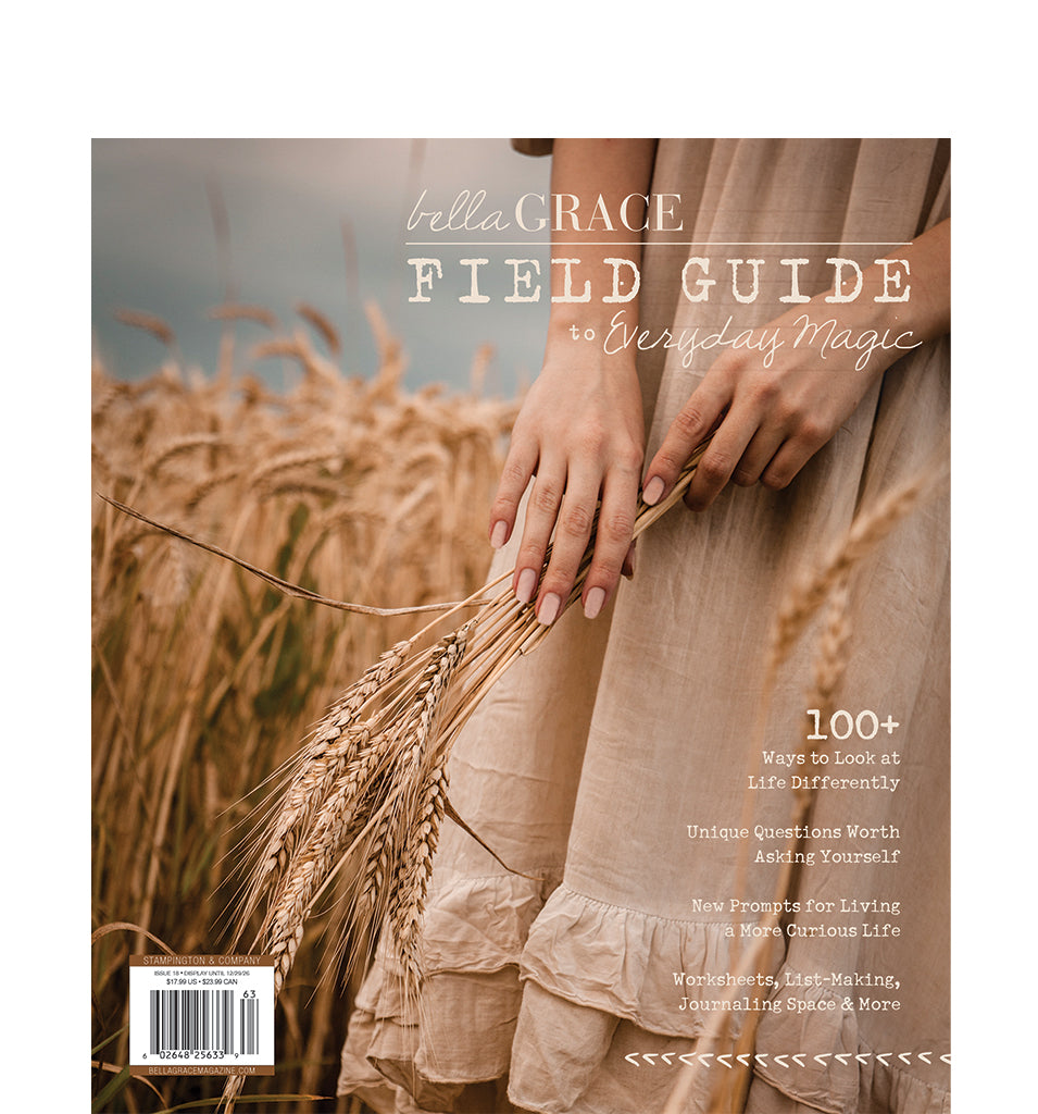 Field Guide to Everyday Magic Issue 18 – New